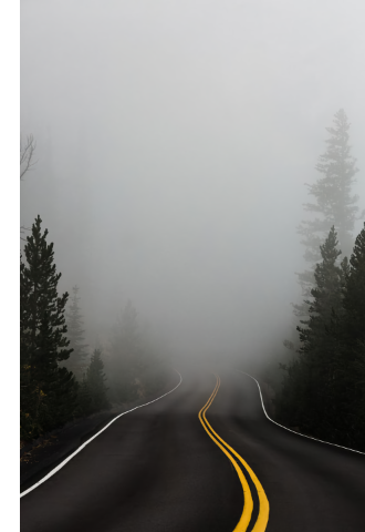 foggy road